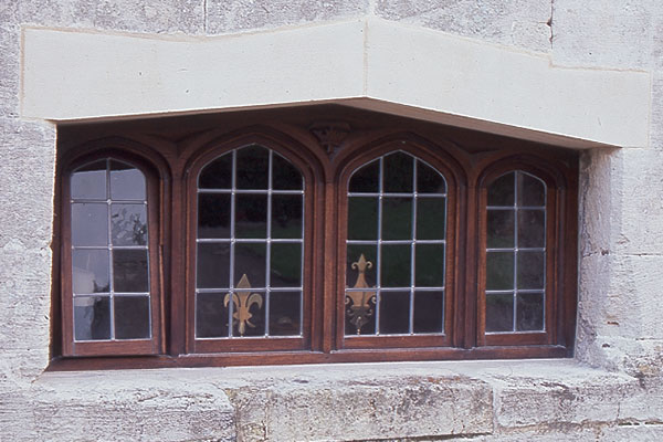 Windows in historic buildings image