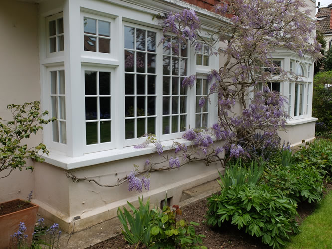 Bay Window